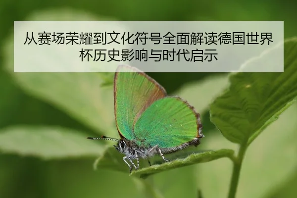 cong-sai-chang-rong-yao-dao-wen-hua-fu-hao-quan-mian-jie-du-de-guo-shi-jie-bei-li-shi-ying-xiang-yu-shi-dai-qi-shi-2-912.jpg